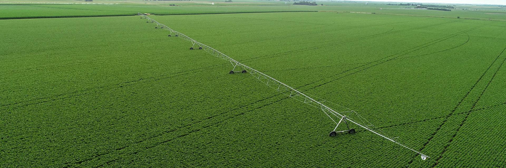 Aerial view of an irrigated agricultural field
