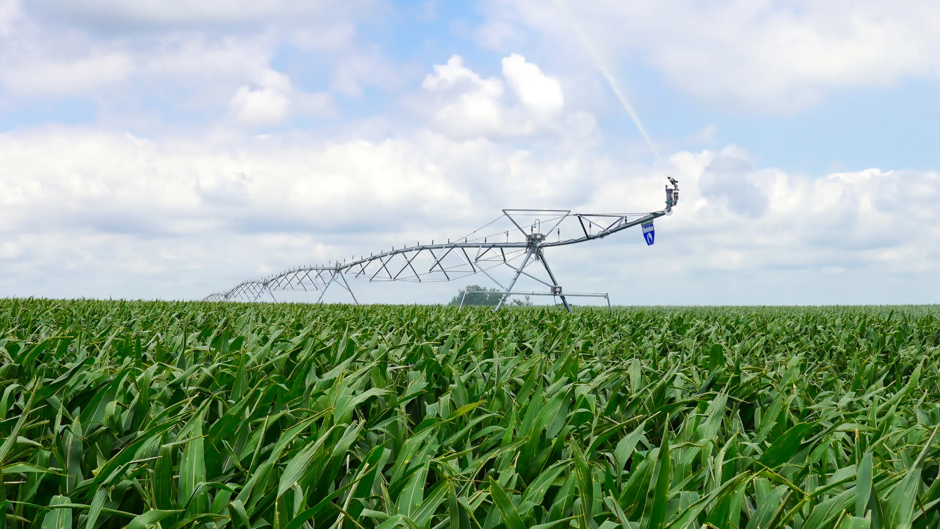 Reinke E3 center pivot extending over a green cornfield beneath a wide summer sky