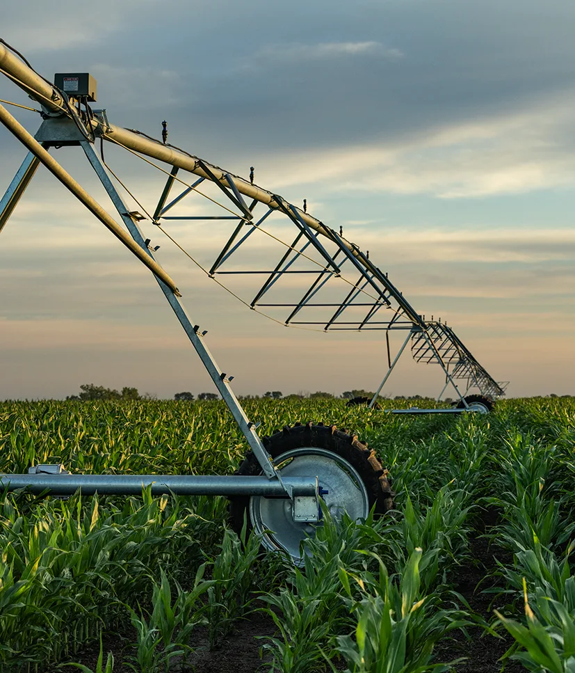 Reinke irrigation span and tower against a blue sky