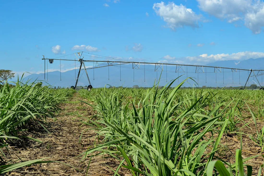 Reinke irrigation tower and span in a field